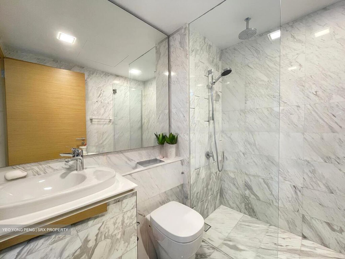 Waterscape at Cavenagh (D9), Apartment #461088311